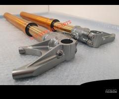 DUCATI 996 998 AVANTRENO FORCELLE OHLINS BREMBO - 12