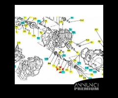 Albero avviamento Malaguti Fifty Full CX e TOP 601 - 6