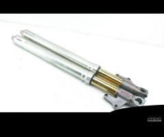 Forche forcelle Showa tin Ducati 996 998 748