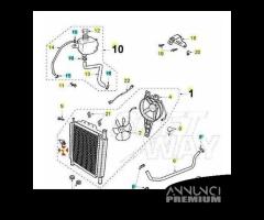 Termostato Peugeot Citystar - Jet - Satelis 767922 - 5