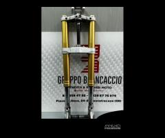 Forcella steli avantreno Aprilia Dorsoduro 750 201