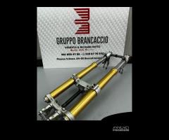 Forcella steli avantreno Aprilia Dorsoduro 750 201 - 11