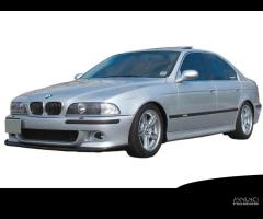 Ammortizzatori a GHIERA BMW 5 Berlina E39 +4 SUPP. - 16