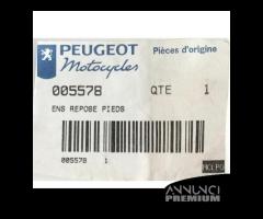 Coppia pedane Peugeot Elyseo 005578