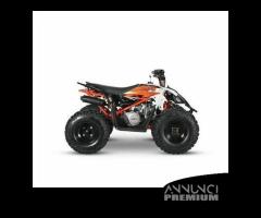 Quad Predator 110 cc 4 Tempi Automatico