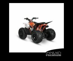 Quad Predator 110 cc 4 Tempi Automatico