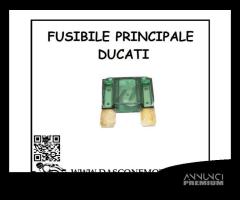 Fusibile Principale Ducati - 1