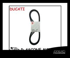 COPPIA CINGHIE ORIGINALI DUCATI ( DENTI TONDI ) - 1