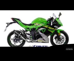 Scarico Leovince GP CORSA EVO Kawasaki Z/Ninja 125