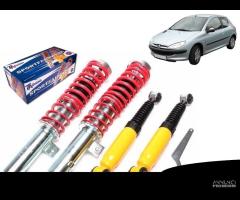 Kit Assetto A Ghiera Regolabile TA PEUGEOT 206 - 11