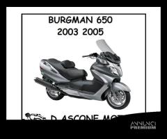 PARAFANGO ANTERIORE BURGMAN 650 2003 2005