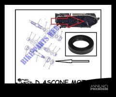 PARAOLIO TRASMISSIONE XMAX 125 250