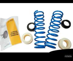 KIT Molle Carico Posteriori Renault Kangoo KW - 4