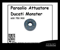 PARAOLIO ASTA FRIZIONE DUCATI MONSTER 600 750 900