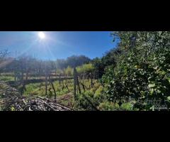 Casa di campagna con terreno a Presa - 6