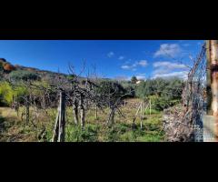 Casa di campagna con terreno a Presa - 7