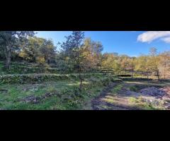 Terreno 3000mq panoramico con rudere a Presa