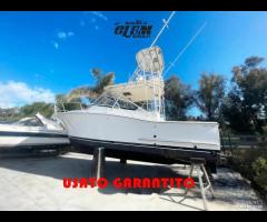 Luhrs 30 + x2 cummins 380cv turbo diesel