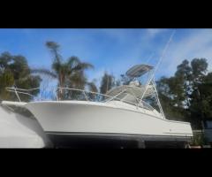 Luhrs 30 + x2 cummins 380cv turbo diesel