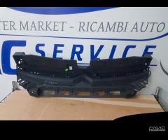 Griglia Anteriore Citroen C3 Aircross - 6