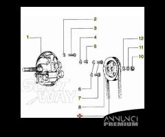Cinghia dentata Piaggio Si variatore