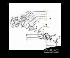 Puleggia dentata scooter Piaggio 50 vari - 286158