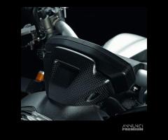 Cover strumentazione in carbonio  Monster 821/1200