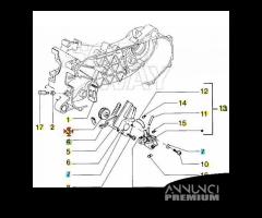 Pignone pompa olio scooter Piaggio - 289262