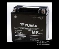 Batteria Yuasa YTX14