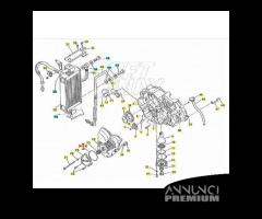 Or tappo olio Cagiva W12 River - 800043604