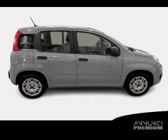 FIAT PANDA 1.2 69cv S/S E6d-Temp Easy 5 PORTE