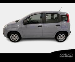 FIAT PANDA 1.2 69cv S/S E6d-Temp Easy 5 PORTE