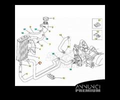 Manicotto tra testa e radiatore Aprilia Rally Liqu
