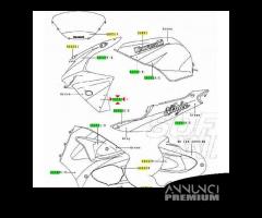 Adesivo cupolino sinistro Kawasaki Ninja 560621805 - 3