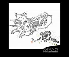 Cinghia trasmisisone Piaggio Liberty Hexagon LX4