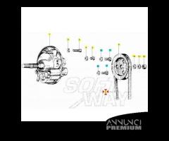 Cinghia trasmissione Piaggio Grillo monomarcia