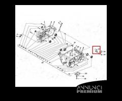 Ponticello lubrificazione Cagiva SST 125 - 24476