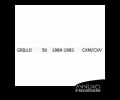 Comando gas Piaggio Grillo 270550