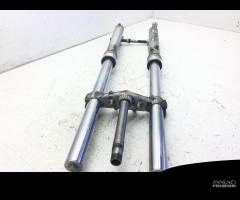 FORCELLA ANTERIORE HONDA TRANSALP XL V 600 1991 19 - 1