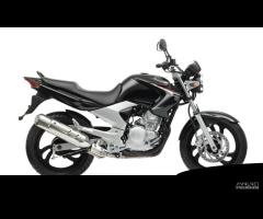 FORCELLE ANTERIORI YAMAHA YBR 250 2007 2011 RG021 - 16