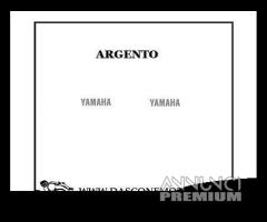 adesivi argento Tmax 500 60 x 15