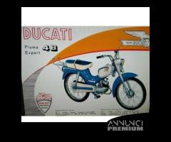 Forcella Ducati Piuma Export 48 - 6