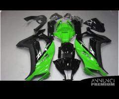 Carena completa KAWASAKI ZX10R 2011 - 2015 C6