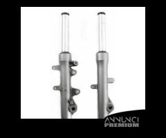 Coppia steli e gambe forcella Yamaha Majesty 250 - 2