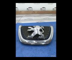 GRIGLIA EMBLEMA ANTERIORE PEUGEOT 207 CC SW 2008 9