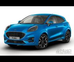 musata Ford puma