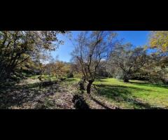 Terreno con rustico a Castiglione di Sicilia