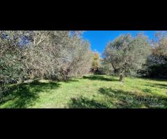 Terreno con rustico a Castiglione di Sicilia - 6