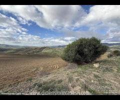 Rif.TA70|Terreno agricolo Caltanissetta - 8