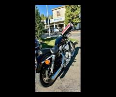 HARLEY-DAVIDSON 883C Sportster Custom XL sportst